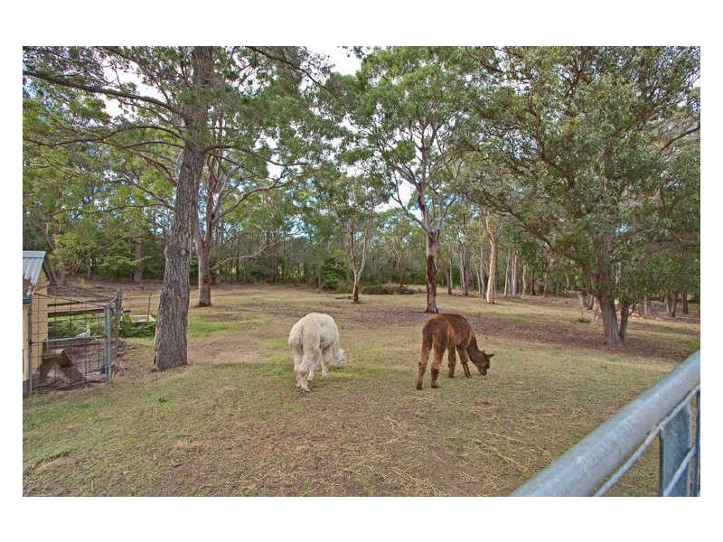 61 Campview Road, Morisset NSW 2264