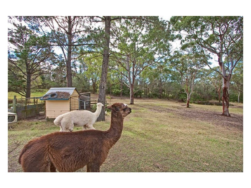 61 Campview Road, Morisset NSW 2264