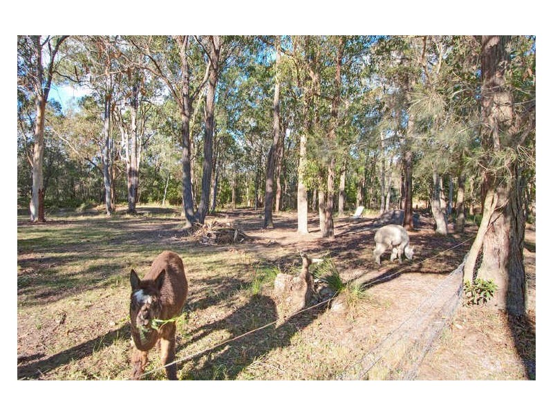 61 Campview Road, Morisset NSW 2264