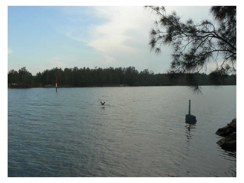 128 Dora Street, Dora Creek NSW 2264