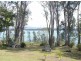 11 King Street, Balcolyn NSW 2264
