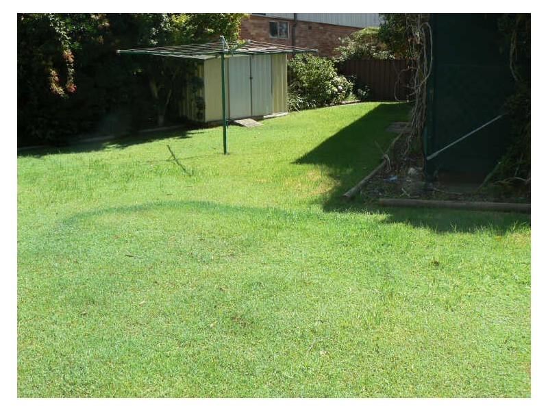 13 Centour Street, Balcolyn NSW 2264
