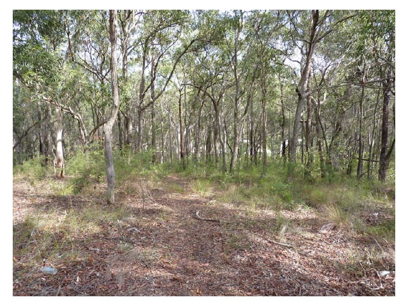 44 Hillcrest Road, Mirrabooka NSW 2264