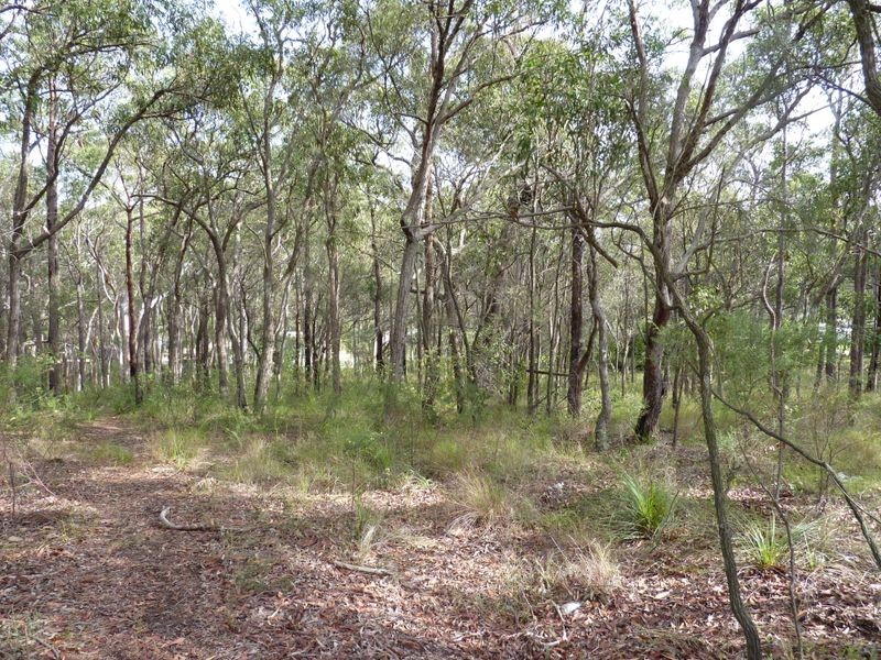 44 Hillcrest Road, Mirrabooka NSW 2264