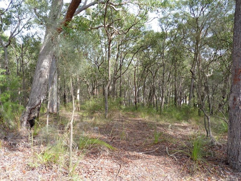 44 Hillcrest Road, Mirrabooka NSW 2264