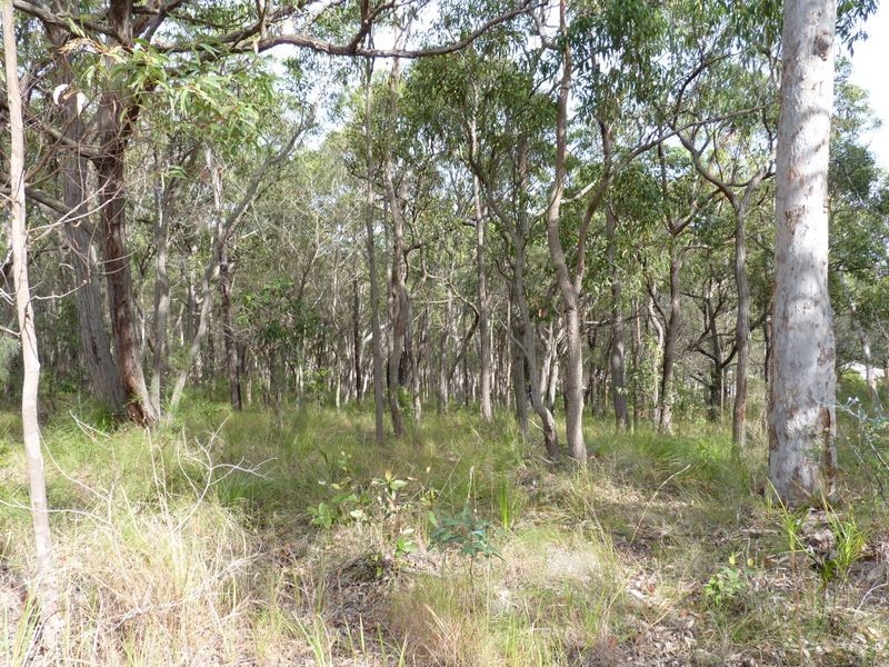 44 Hillcrest Road, Mirrabooka NSW 2264