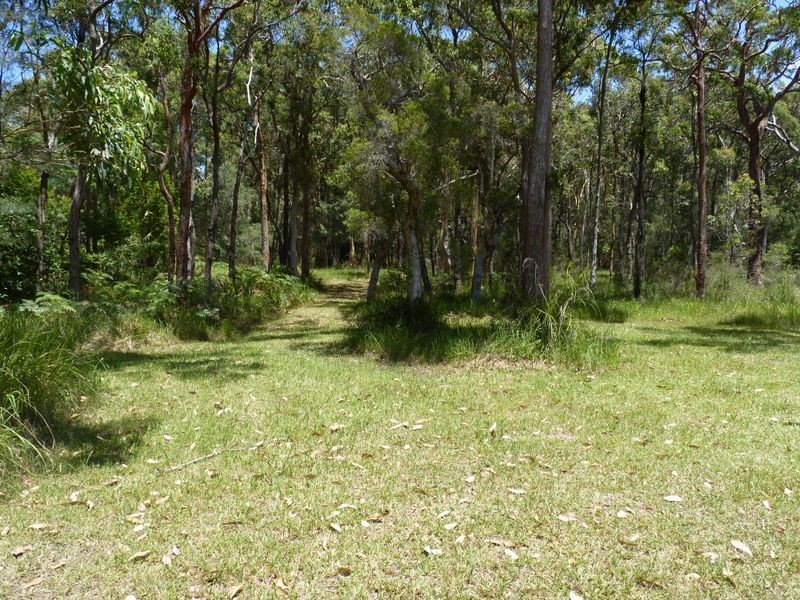 110 Lake Road, Balcolyn NSW 2264