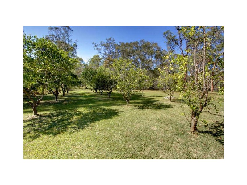28 Inglewood Street, Morisset NSW 2264