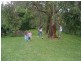111 Newport Road, Dora Creek NSW 2264