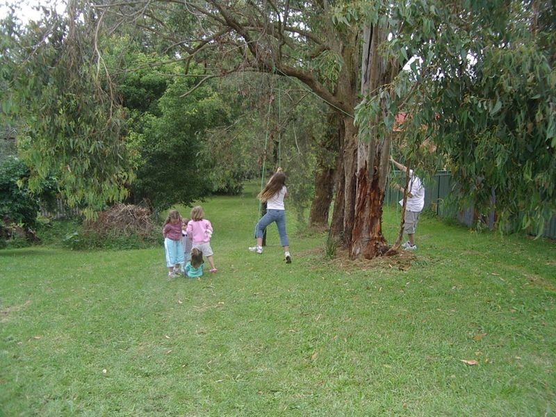 111 Newport Road, Dora Creek NSW 2264