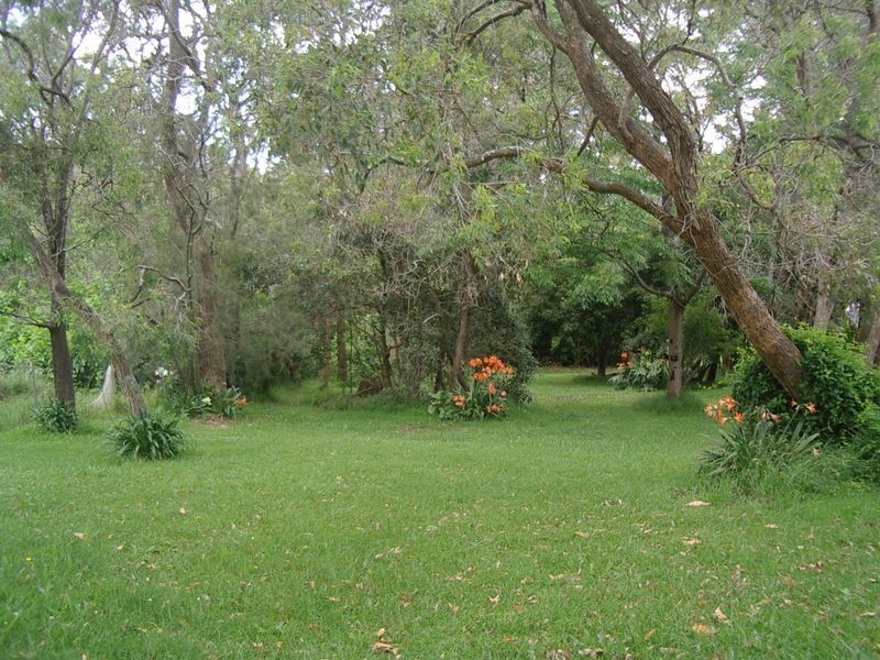 111 Newport Road, Dora Creek NSW 2264