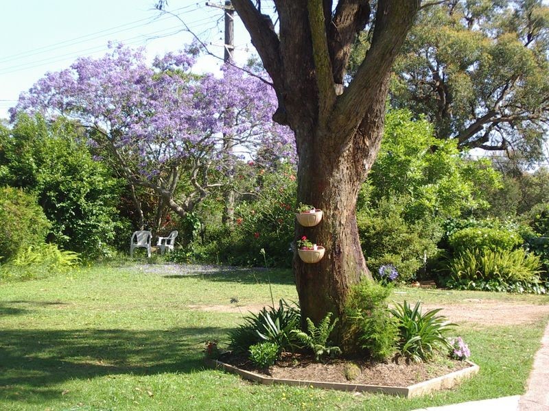 111 Newport Road, Dora Creek NSW 2264