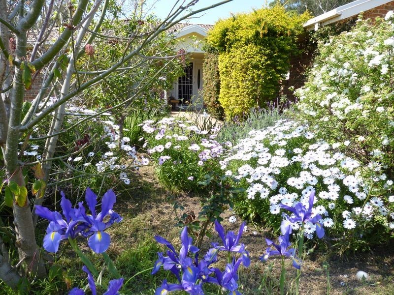 66 Kalani Road, Bonnells Bay NSW 2264