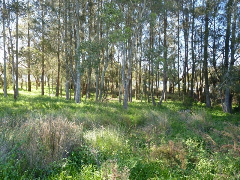 Lot 407 (N Edgewater Drive, Morisset Park NSW 2264