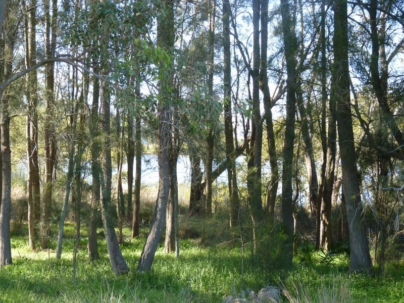 Lot 407 (N Edgewater Drive, Morisset Park NSW 2264