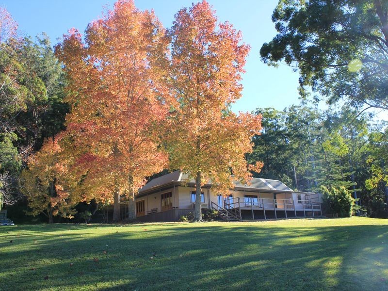 134 Pringles Road, Martinsville NSW 2265