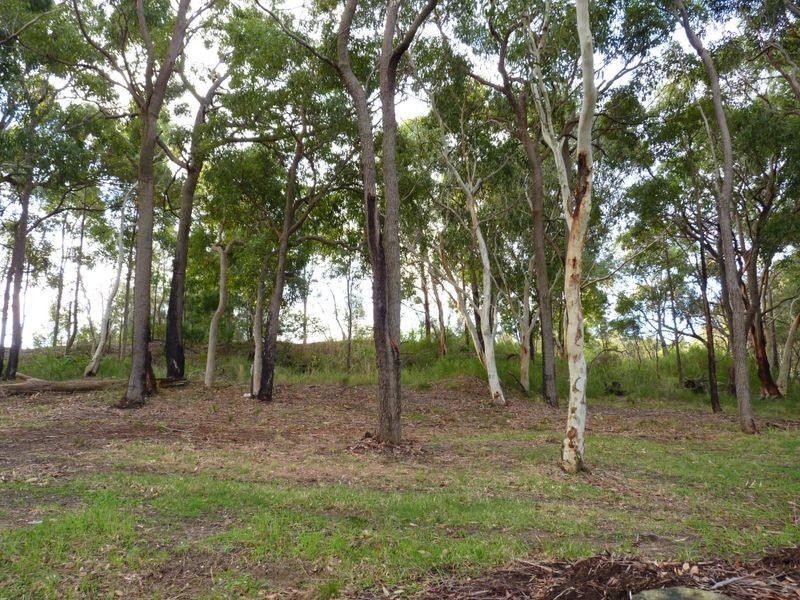 31 Mooranga Road, Mirrabooka NSW 2264