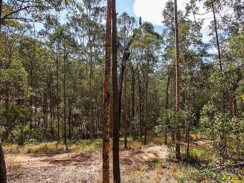 225 Tobins Road, Mandalong NSW 2264