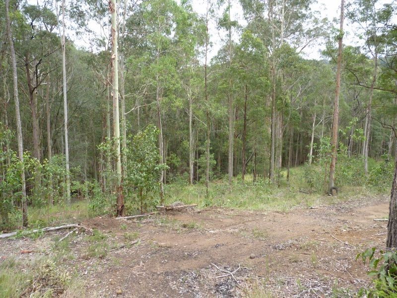 225 Tobins Road, Mandalong NSW 2264