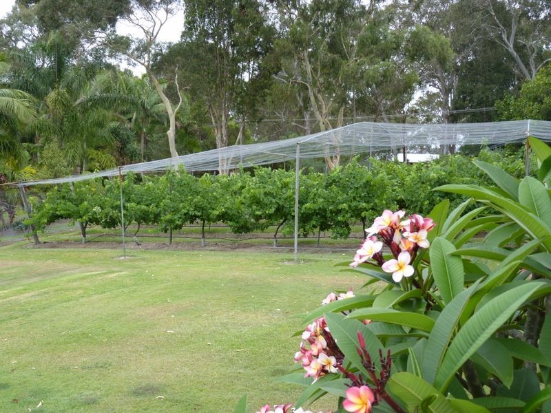 2 Macleay Street, Eraring NSW 2264