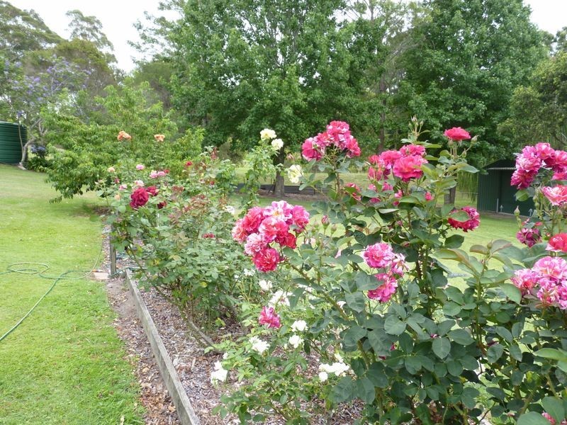 2 Macleay Street, Eraring NSW 2264