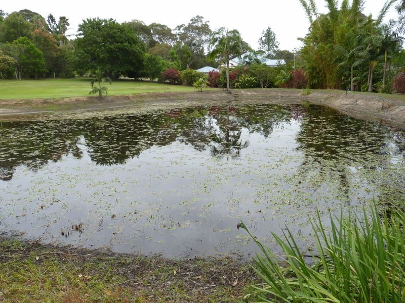 2 Macleay Street, Eraring NSW 2264