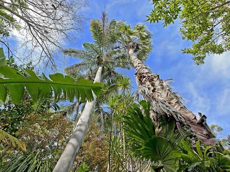 76 Cessnock Road, Sunshine NSW 2264