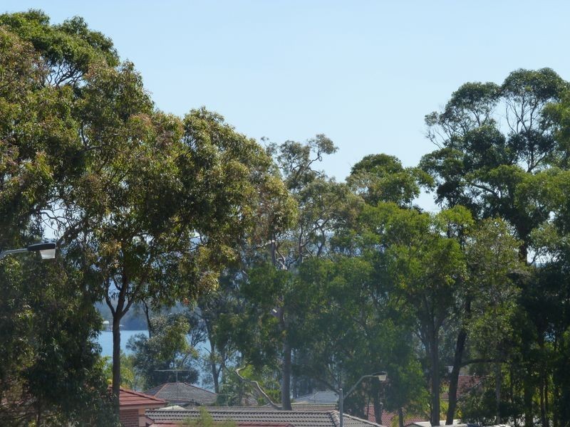 141 Waikiki Road, Bonnells Bay NSW 2264