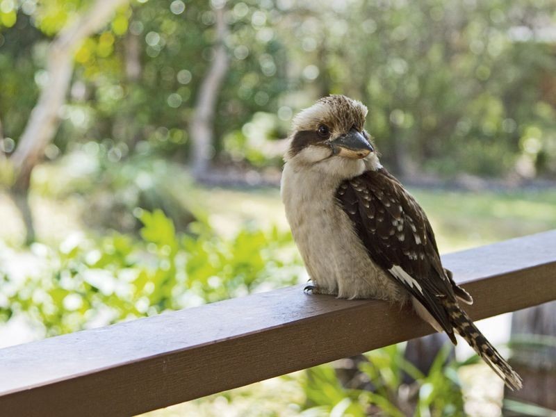 10 Asquith Avenue, Windermere Park NSW 2264