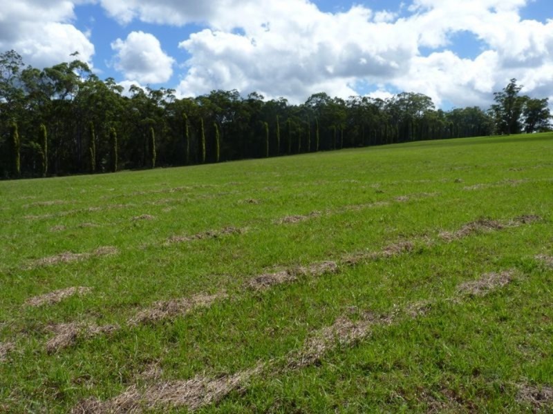 892 Freemans Drive, Cooranbong NSW 2265