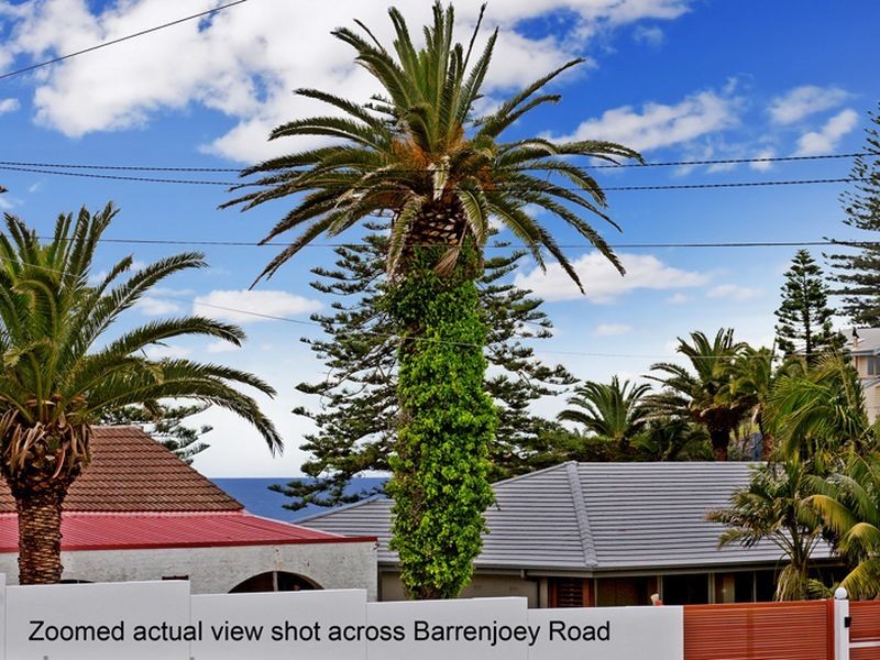 173 Barrenjoey Road, Newport NSW 2106