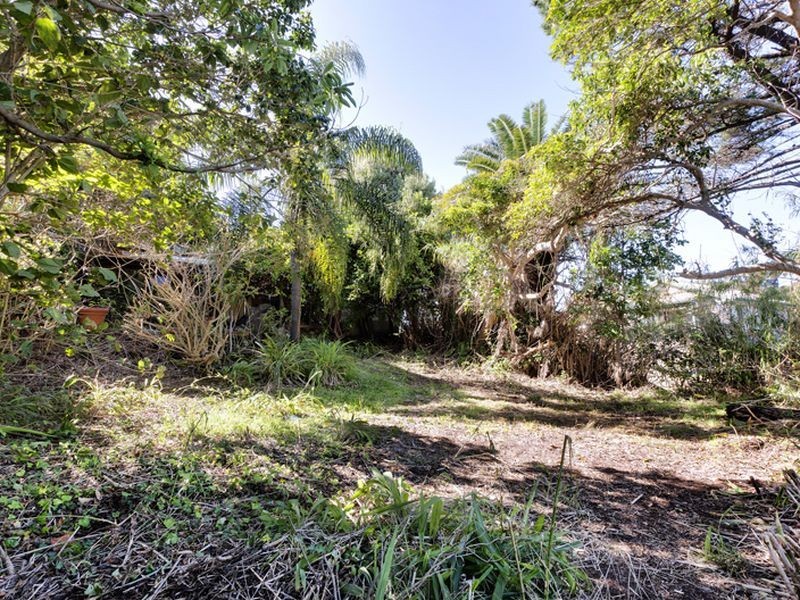 173 Barrenjoey Road, Newport NSW 2106