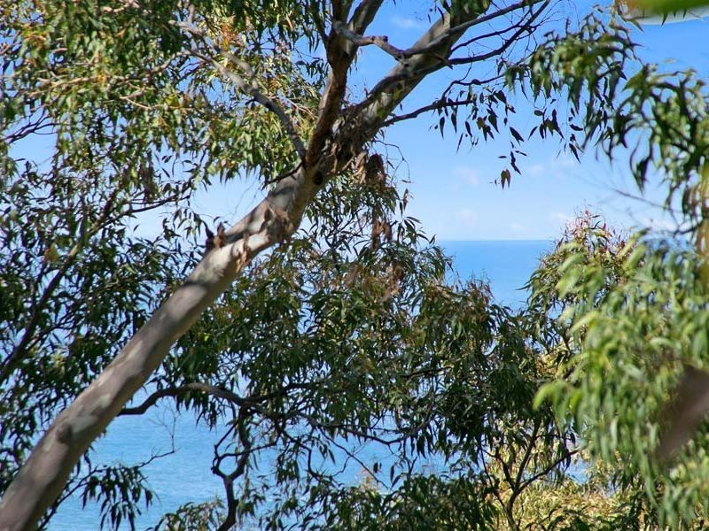 52 Grandview Drive, Newport NSW 2106