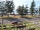 Newport NSW 2106