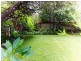 73 George Street, Avalon NSW 2107