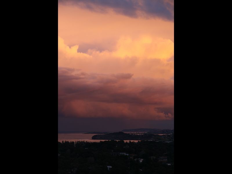 19 Cheryl Crescent, Newport NSW 2106