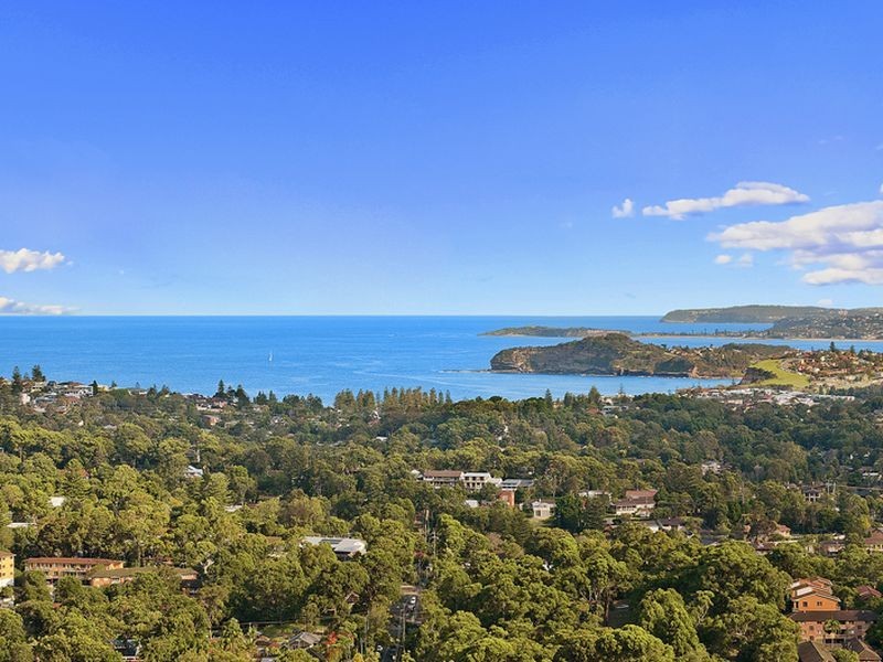 48 Cheryl Crescent, Newport NSW 2106