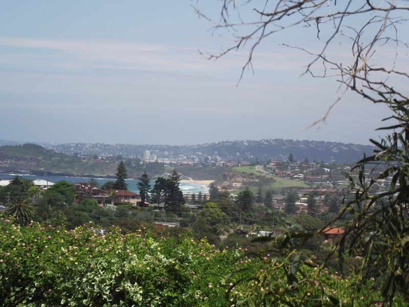 222 Barrenjoey Road, Newport NSW 2106