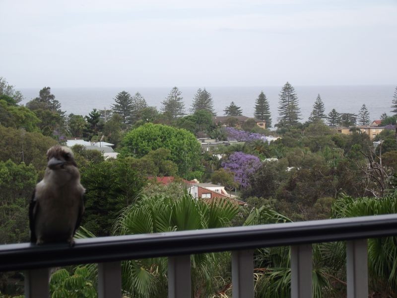 26 Grandview Drive, Newport NSW 2106