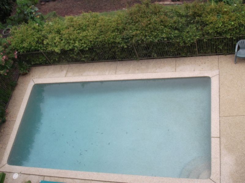 12/10 Kalinya Street, Newport NSW 2106