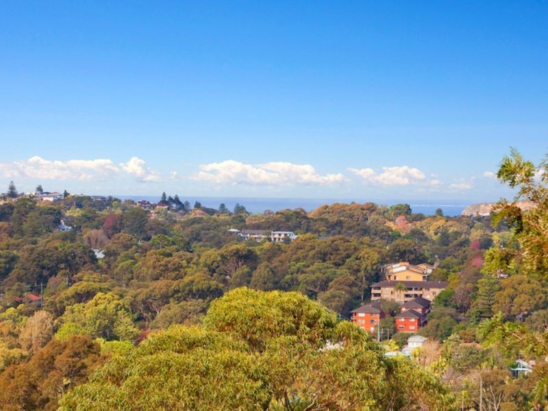 64 Wallumatta Road, Newport NSW 2106