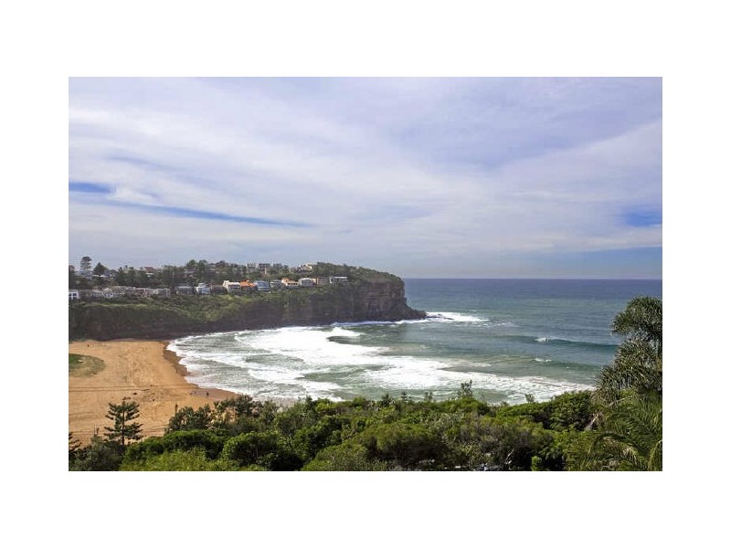 56 Attunga Road, Newport NSW 2106