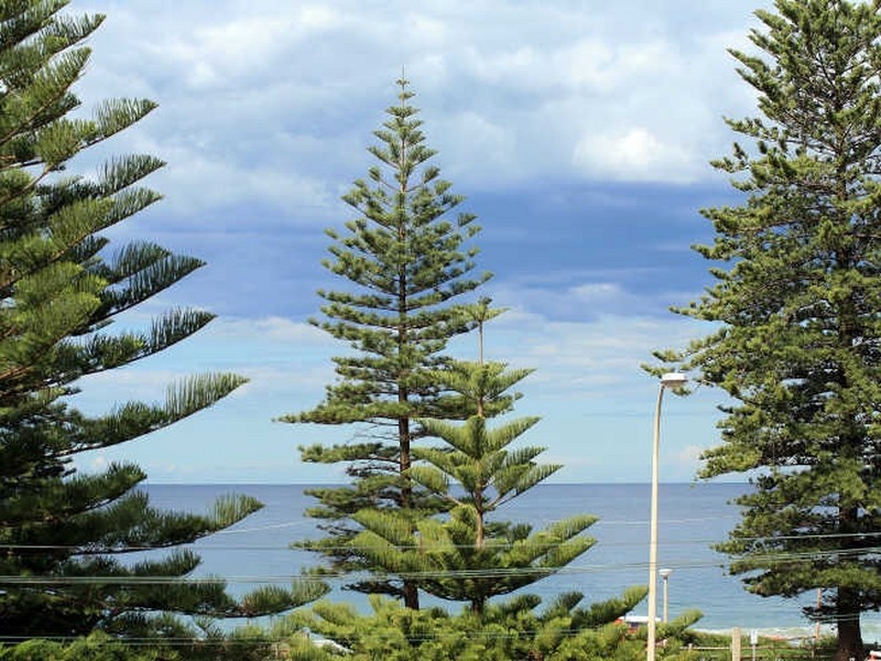 13/397 Barrenjoey Road, Newport NSW 2106