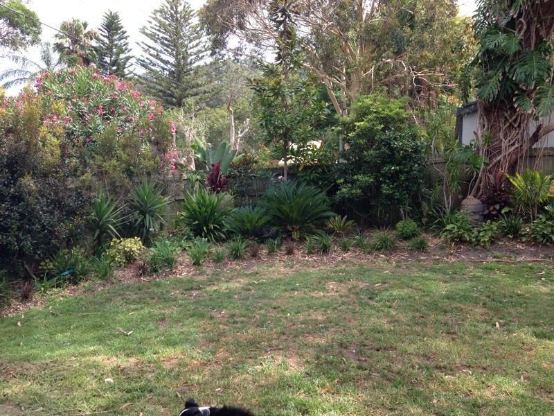 60 Bardo Road, Newport NSW 2106