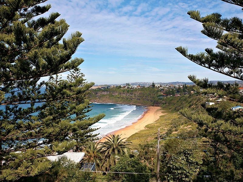 50 Bungan Head Road, Newport NSW 2106