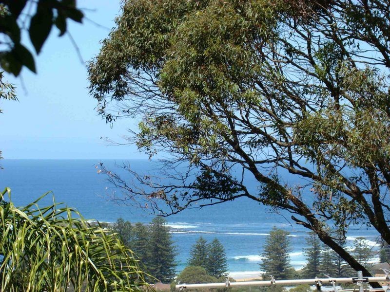 15 Sybil Street, Newport NSW 2106