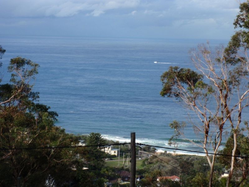 105 Grandview Drive, Newport NSW 2106