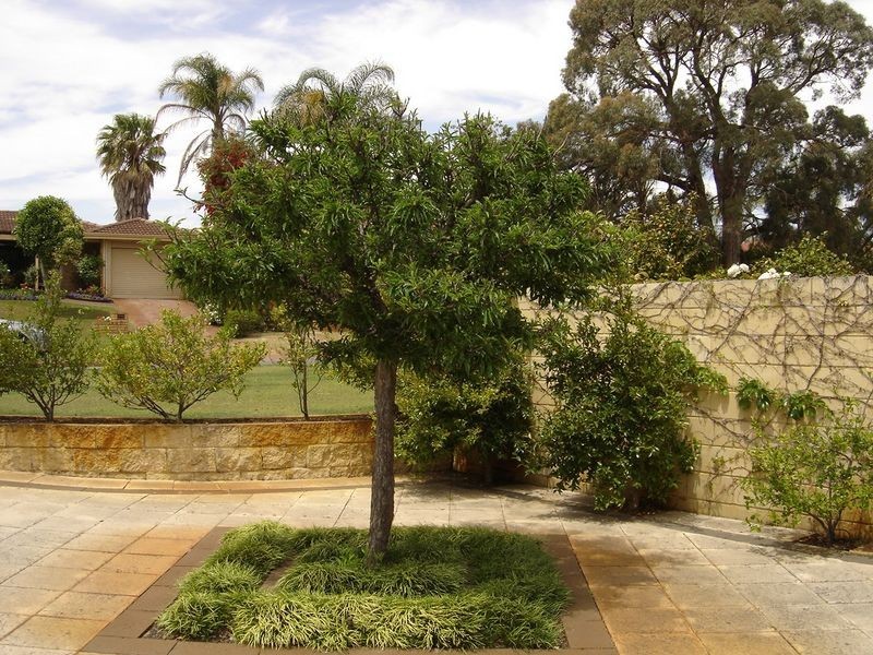 37 Matthew Avenue, Leeming WA 6149