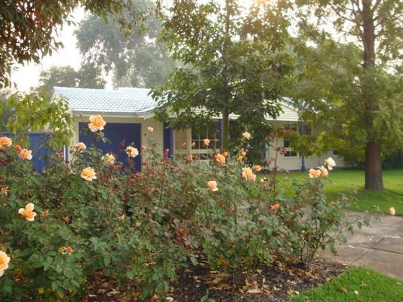 35 Woodpecker, Willetton WA 6155