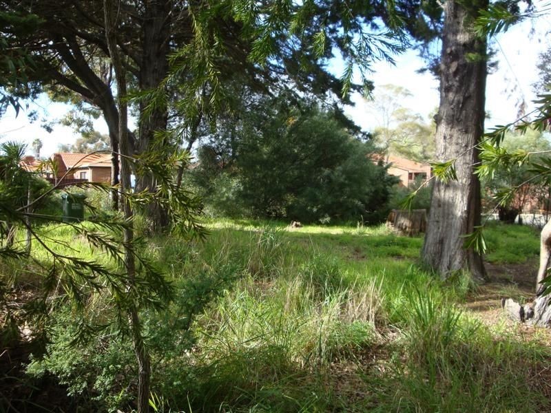 59 Hybanthus Road, Ferndale WA 6148